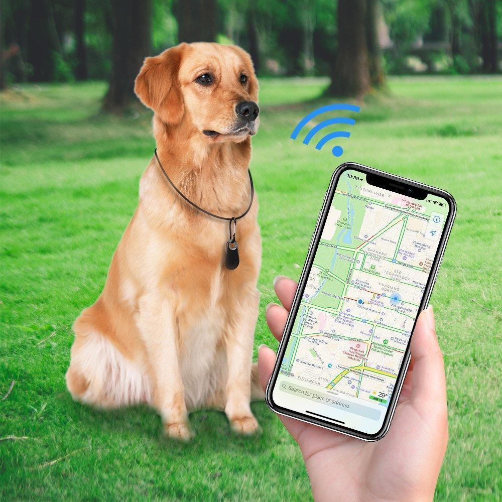 Pets GPS Tracker & Activity Monitor For Dogs and Cats